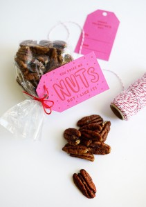 Printable Silly Valentine Tags