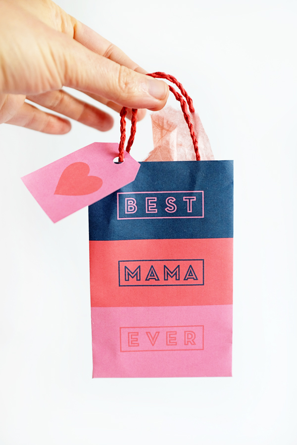 Printable best sale shopping bags