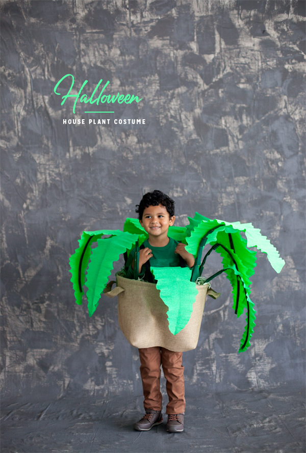 10 Best Plant Costumes for Kids and Adults - How to DIY a Plant