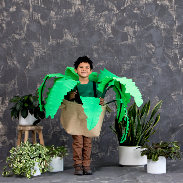 10 Best Plant Costumes for Kids and Adults - How to DIY a Plant