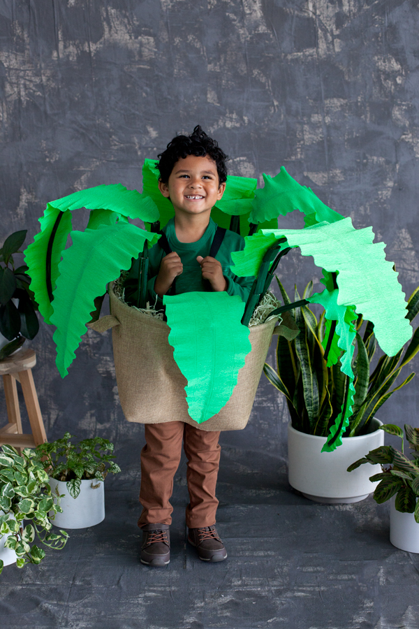 House Plant Costume