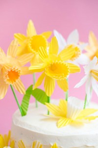 Daffodil Cake Toppers - 12 Pack