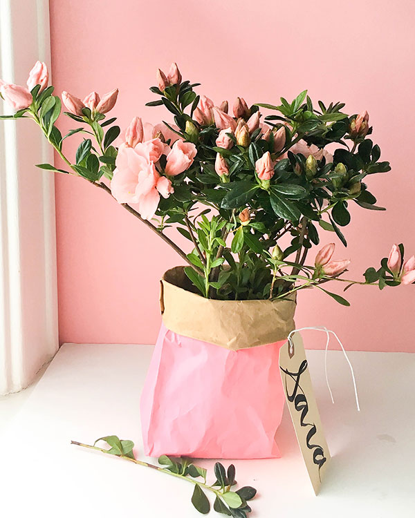 Three Ways: Paper Bag Party Ideas | Oh Happy Day!