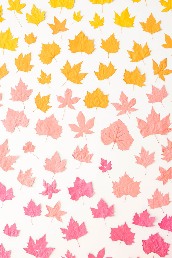 Ombre Leaf Backdrop | Oh Happy Day!