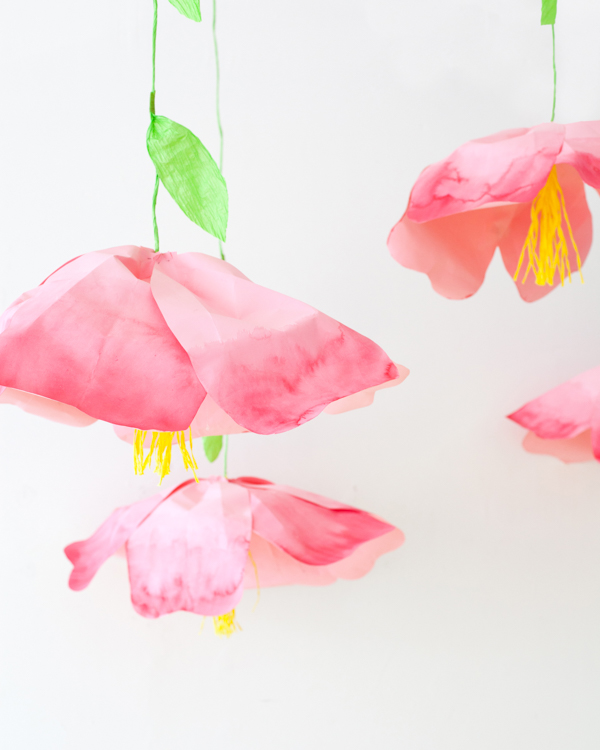 Paper flowers hanging from outlet ceiling